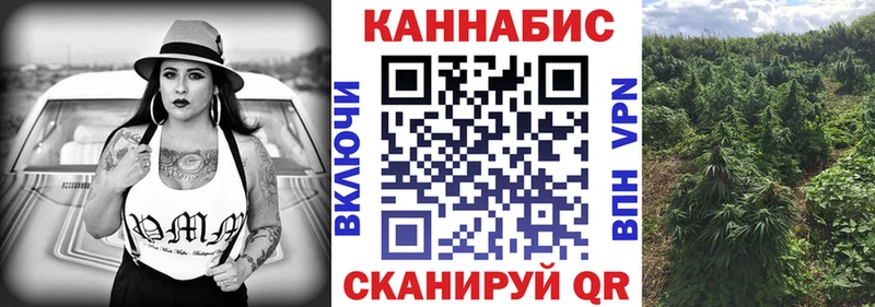 купить blacksprut зеркало МАРИХУАНА тримм Лиски